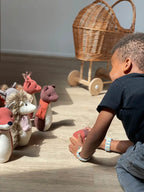 Forest Bowling Set