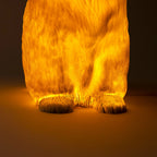 Scotty Lamp
