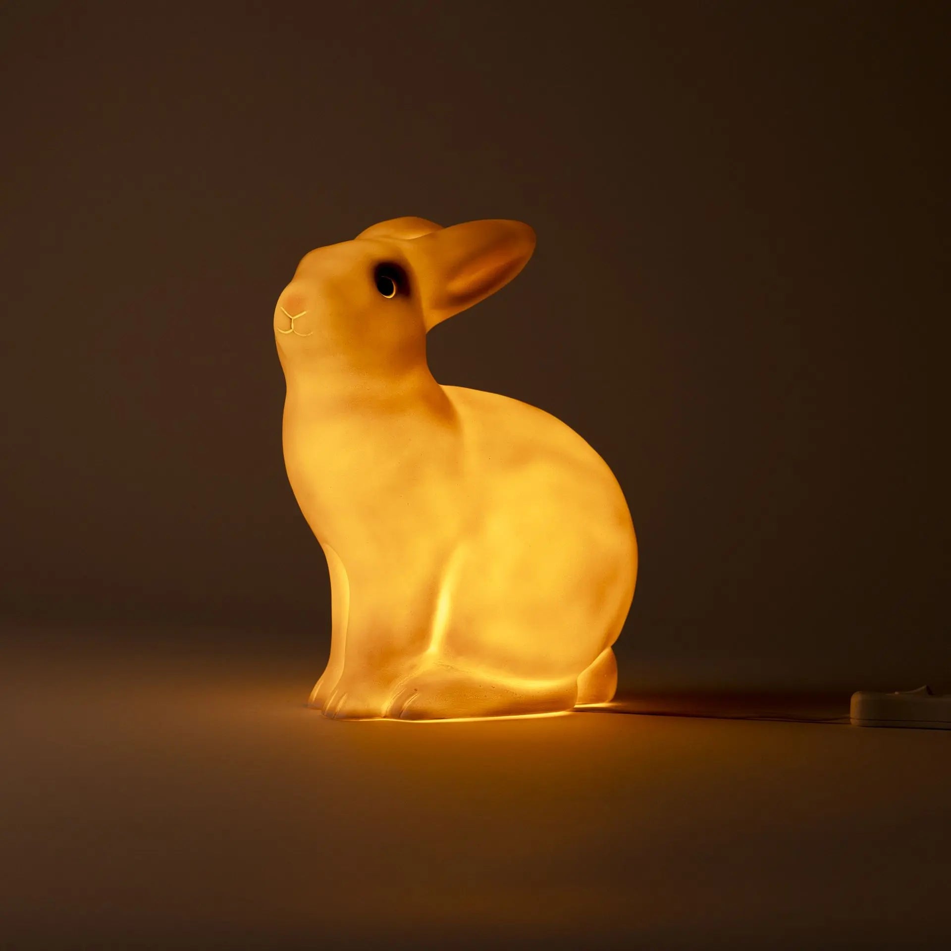 Rabbit Lamp