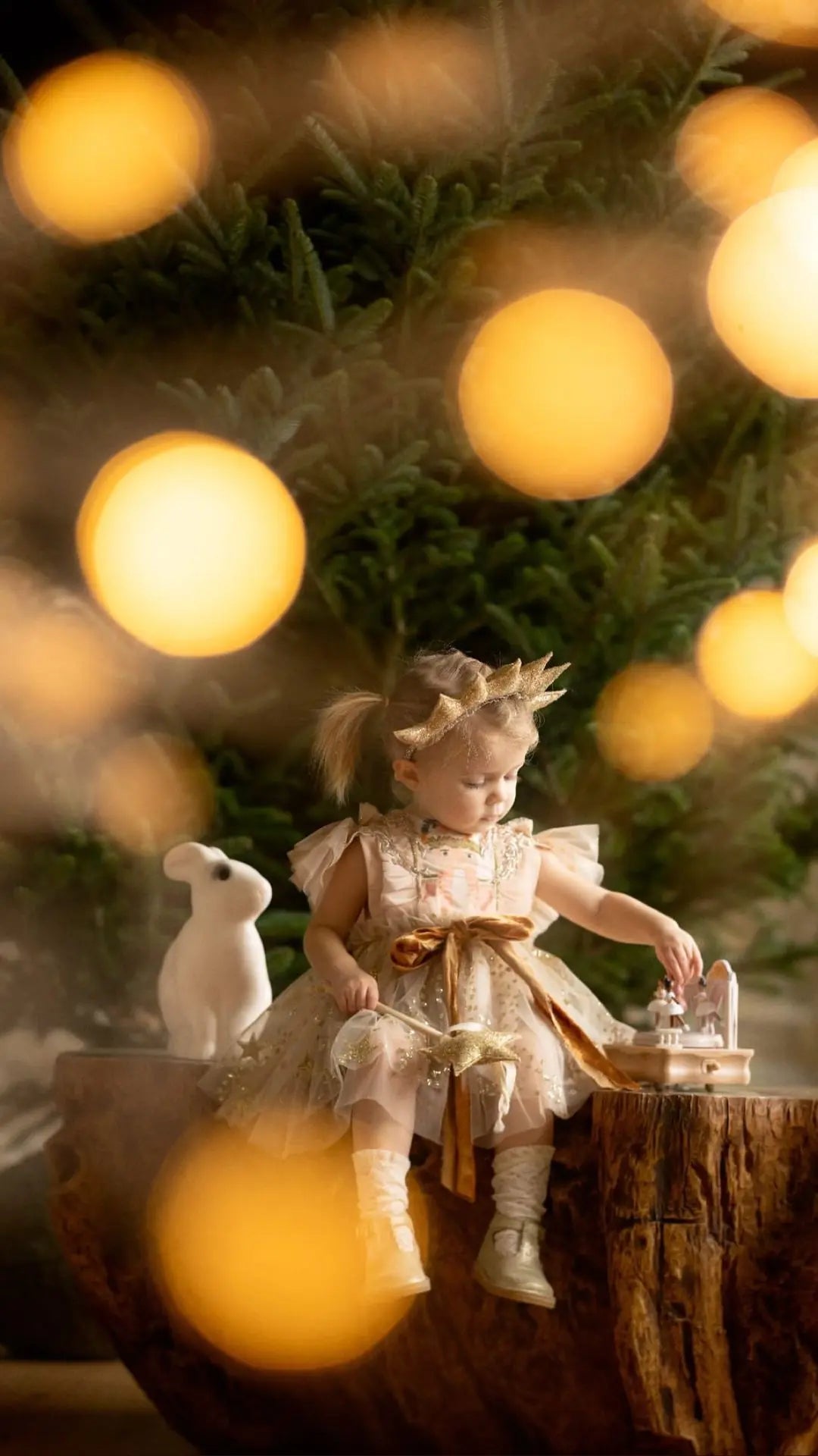 Rabbit Lamp