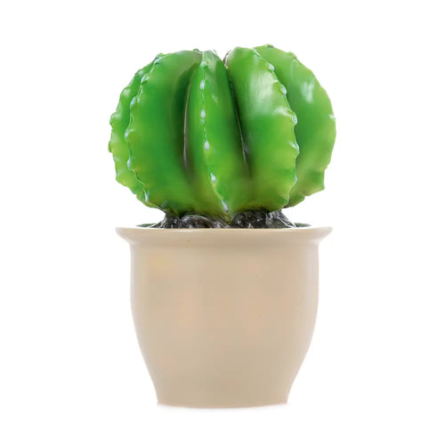 Cactus Lamp