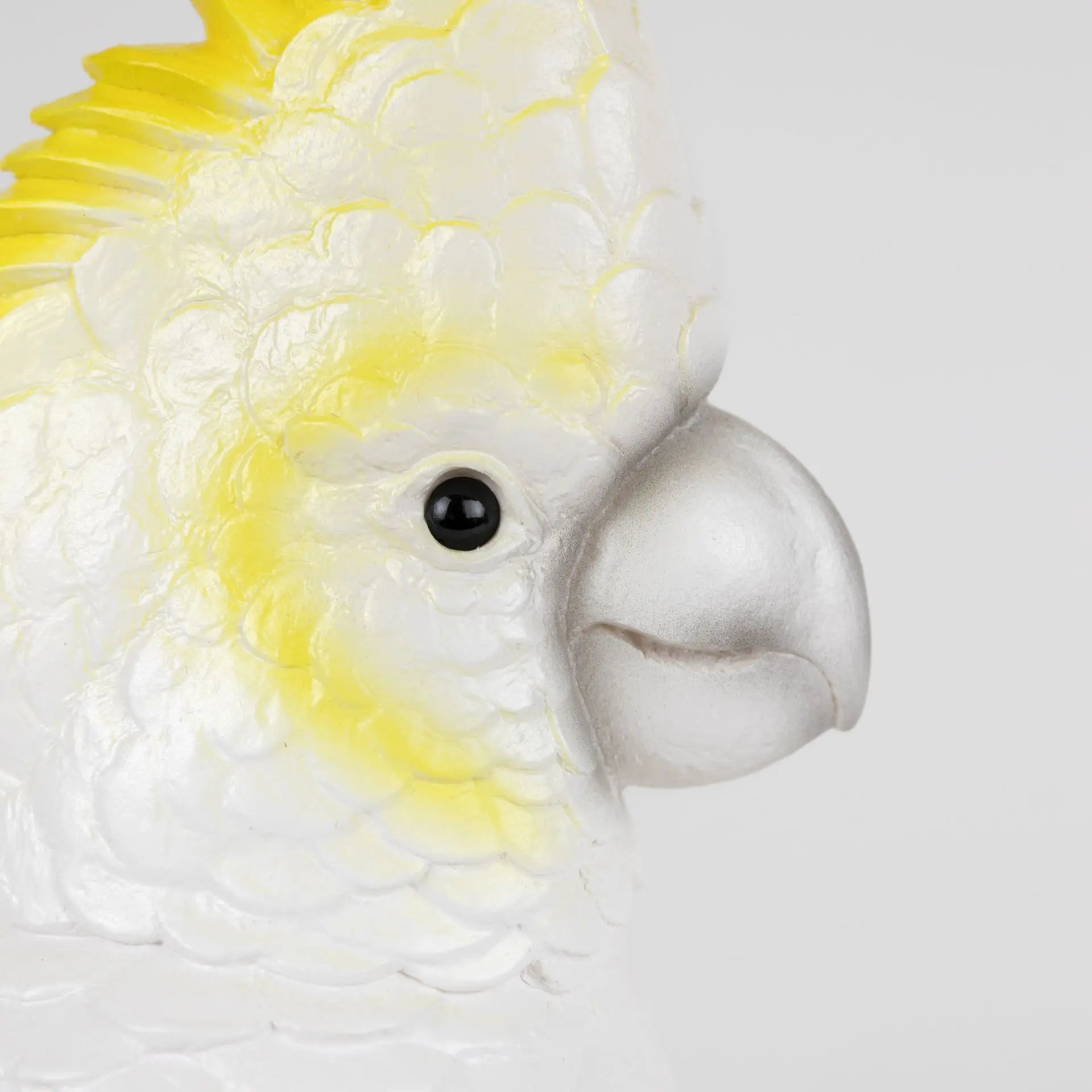 Cockatoo Lamp