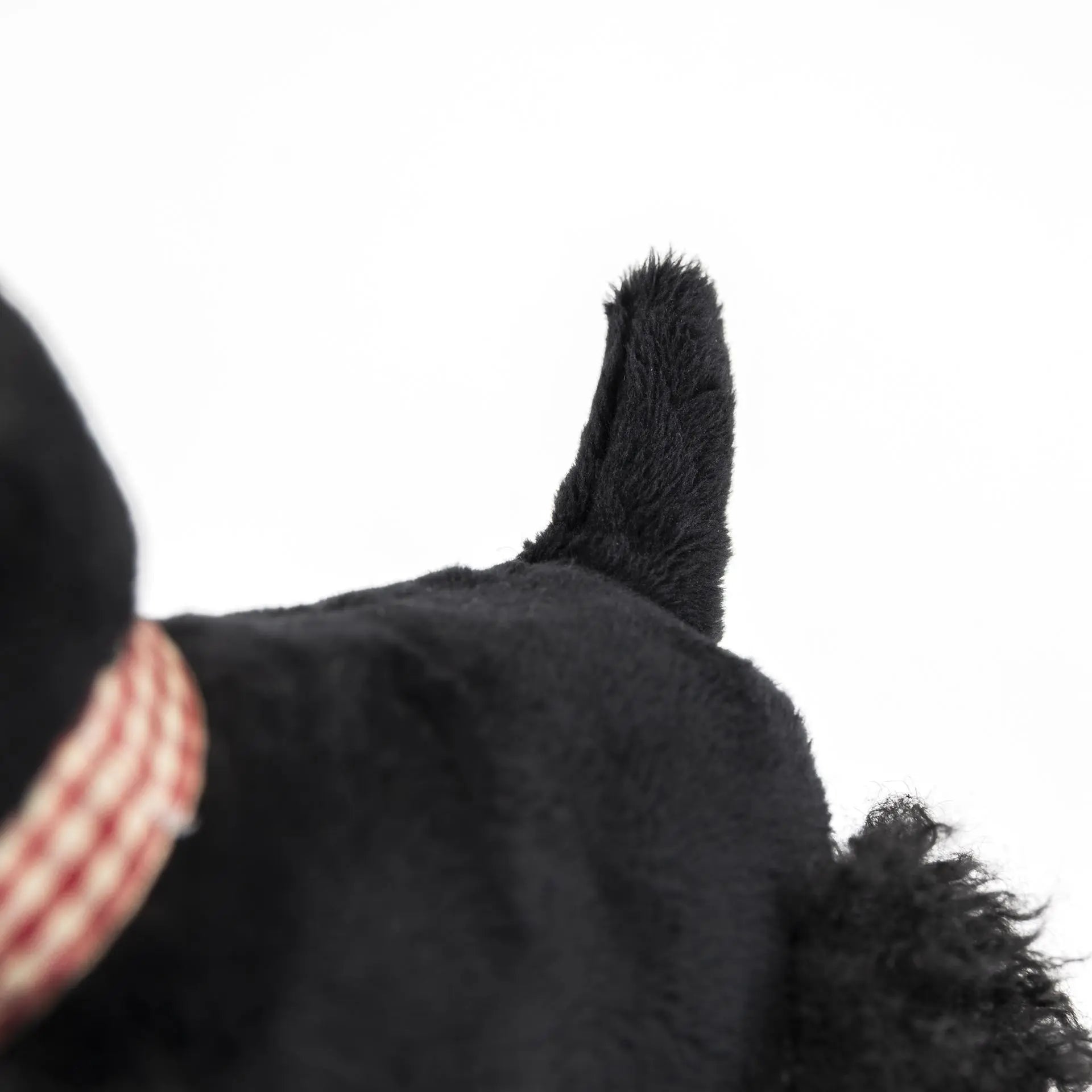Walter Pull Toy