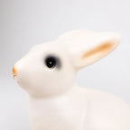 Rabbit Lamp