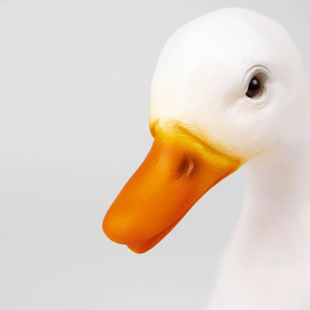 Duck Lamp