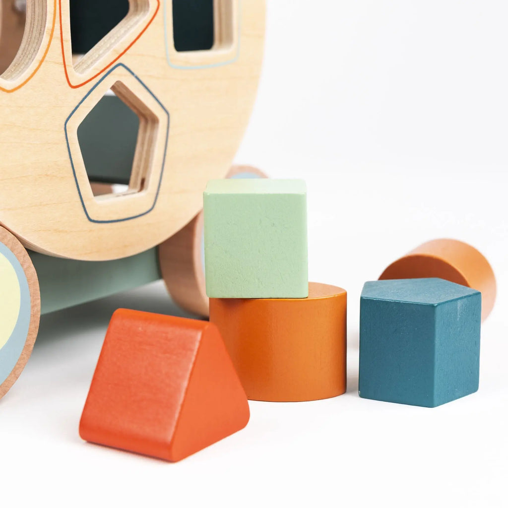 Turtle Pull Toy