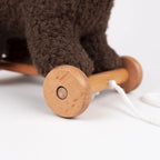 Raoul Pull Toy